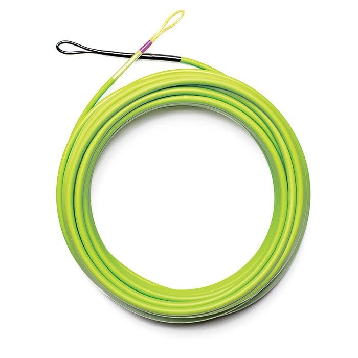 AIRFLO AIRFLO SKAGIT SCOUT SHOOTING HEAD FLY LINE