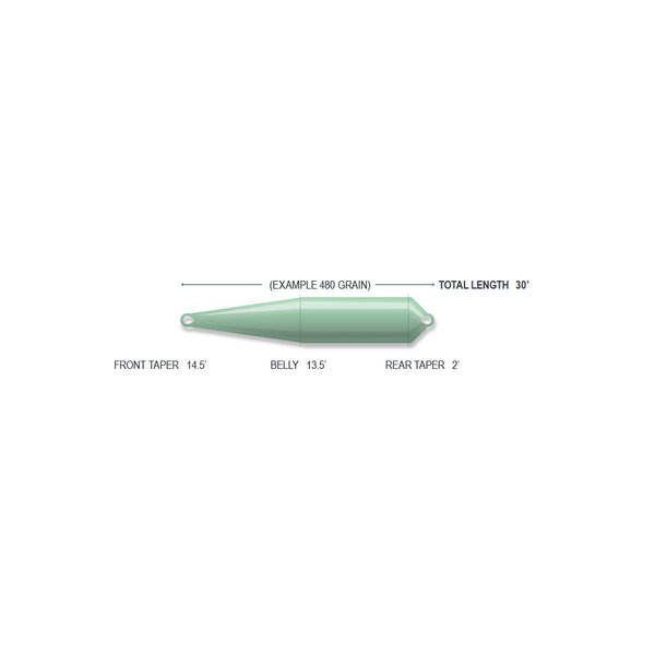 Airflo Skagit Scout Shooting Head Fly Line