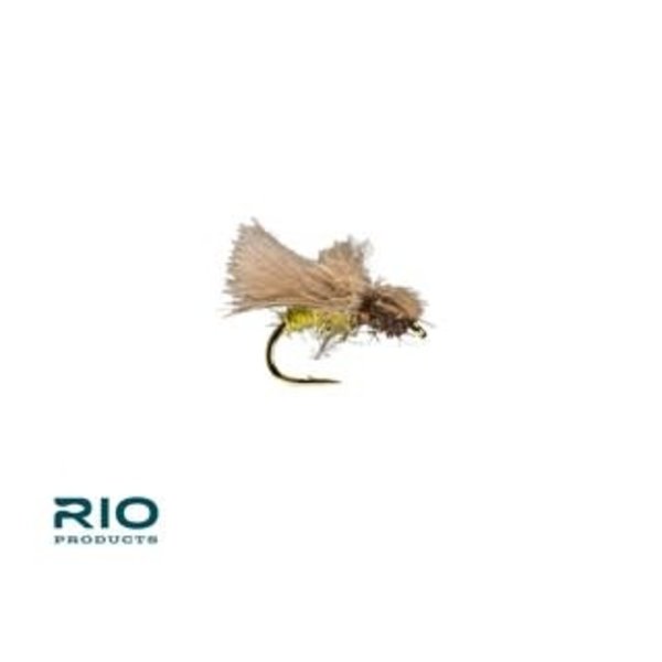 RIO CDC Caddis  Olive S16  [Single]
