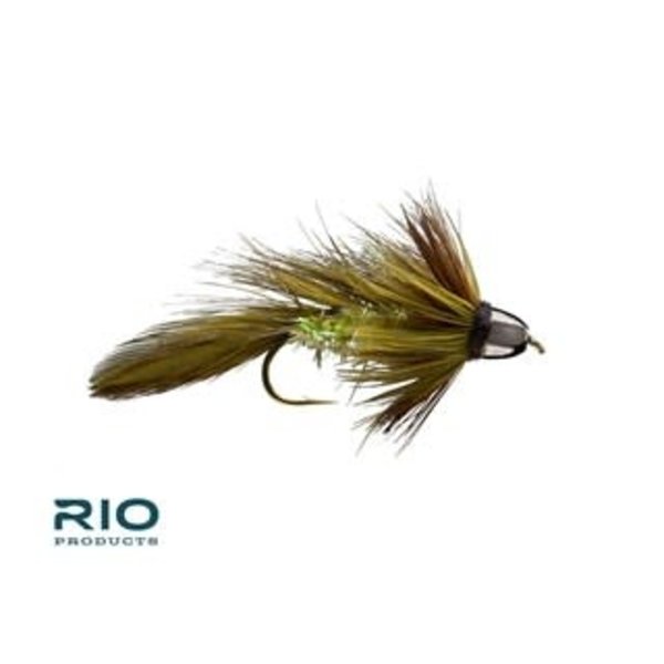 RIO CH Olive Blossom Special S4  [Single]