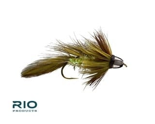 RIO Products RIO CH Olive Blossom Special S6  [Single]