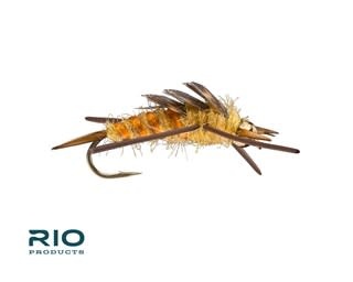 RIO Products RIO Rubber Legs Stonefly Bead Gold S4  [Single]
