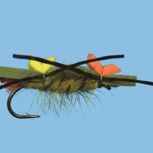 SOLITUDE FLY COMPANY SOLITUDE - PLAN B Olive S12  [Single]