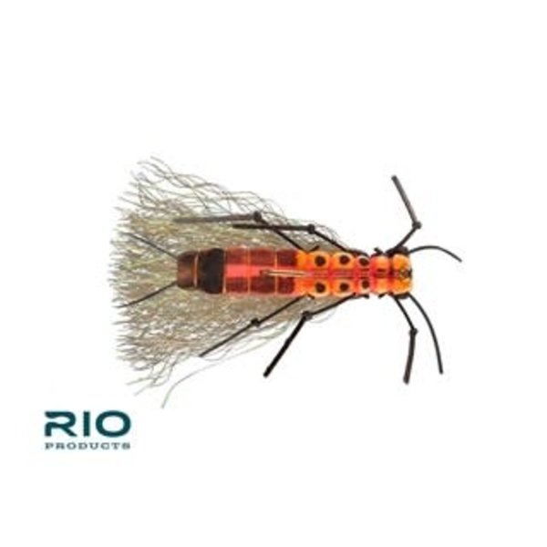 RIO'S Juicy Stone Salmonfly S8 [Single]