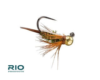 RIO Products RIO Prince Nymph Jig TB  [Dozen]