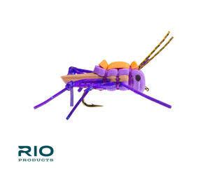 RIO Products RIO'S Juicy Hopper Purple S6  [Single]