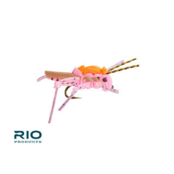RIO'S Juicy Hopper Pink S10   [Single]