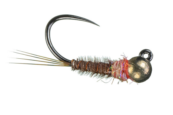 Montana Fly Company MFC JIG FRENCHIE NYMPH  [Dozen]