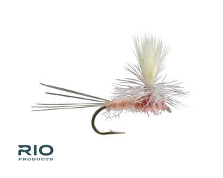 RIO Products RIO PARACHUTE Pink S16 [Single]