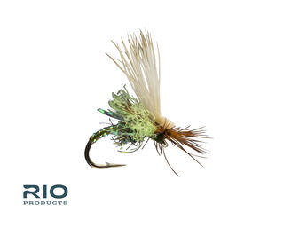 RIO Products RIO'S Body Double Caddis Olive S14 [Single]