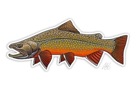 Underwood Creative UC- Brook Trout Fish Decal