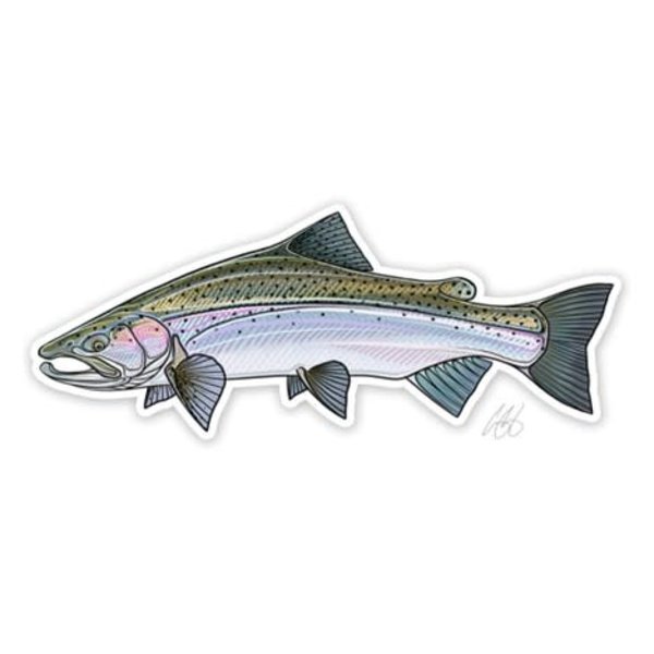 UC- Steelhead  Fish Decal