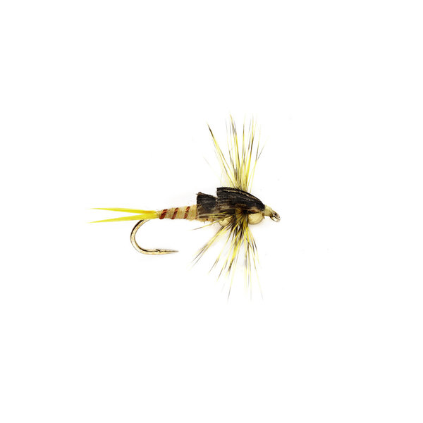 Stonefly Nymph Black S10 Fishing Fly, Nymphs