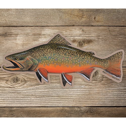 REP YOUR WATER REP YOUR WATER Fall Brookie Artist's Reserve Sticker - M