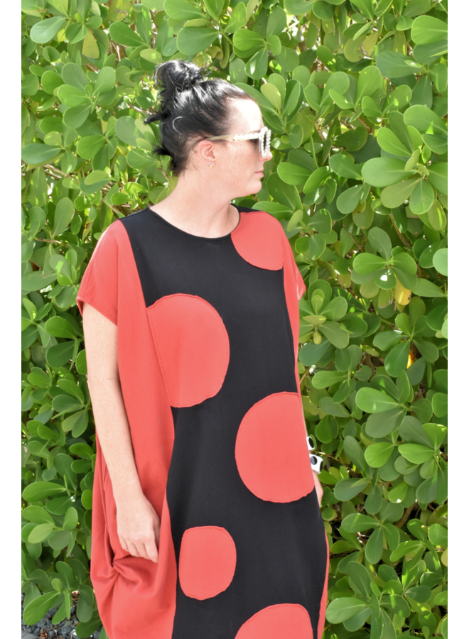 Cheyenne Ladybug Dress