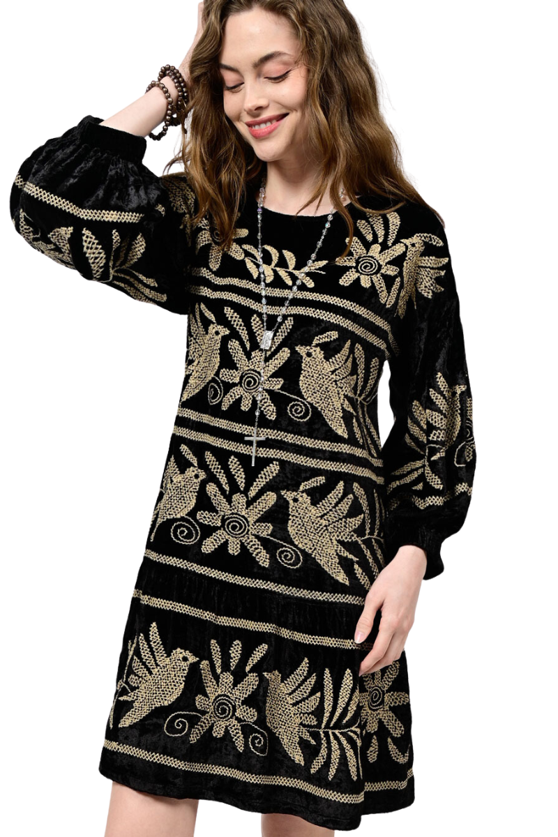 Ivy jane top embroidered dress