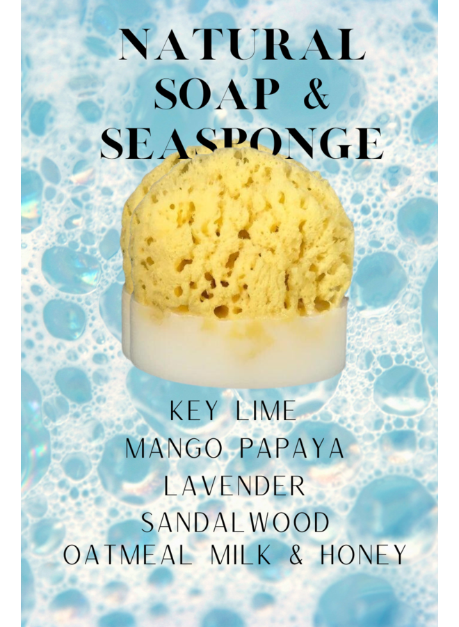 Splash Sea Sponge Soap