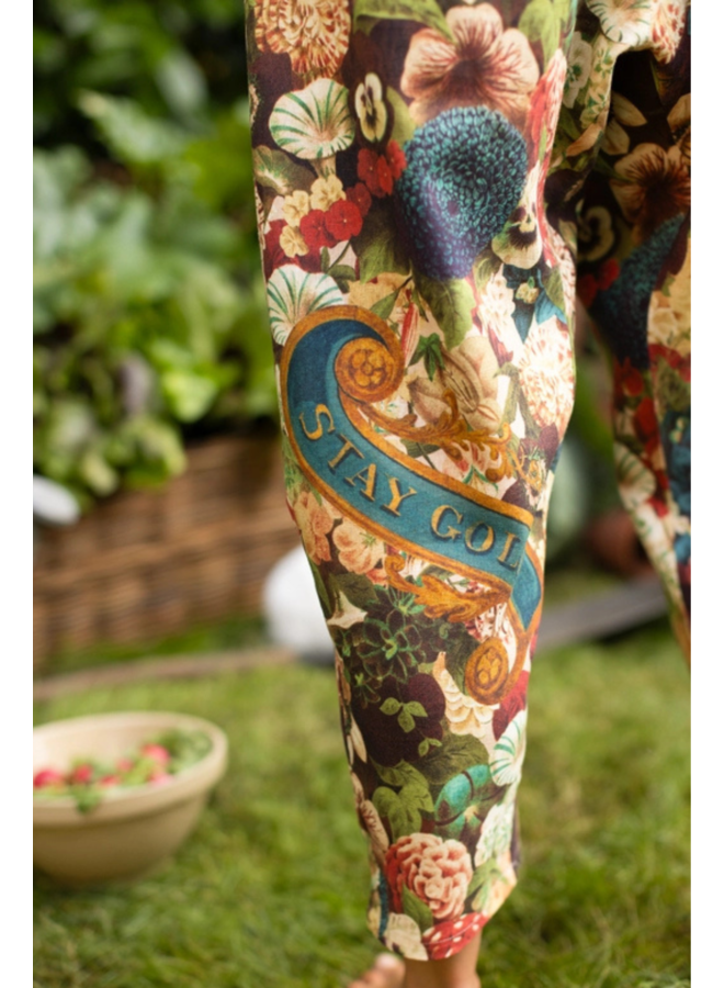 Market Of Stars Stay Gold Artist Pants
