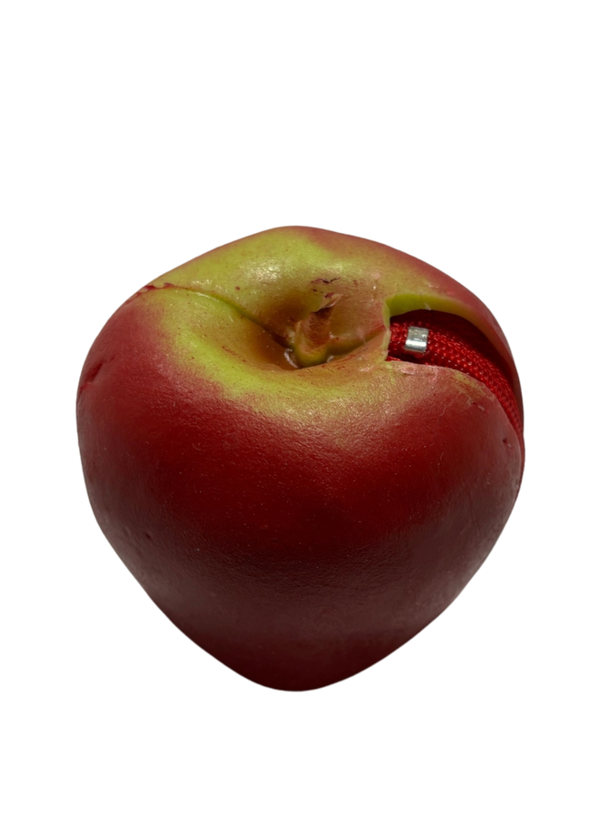 Apple Coin Purse