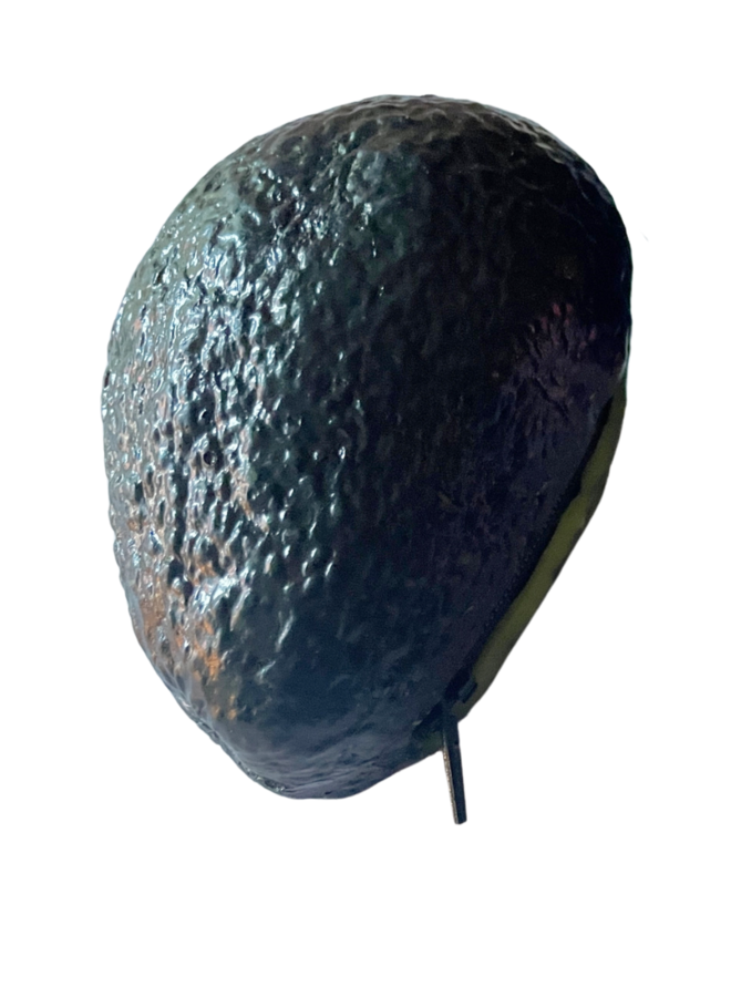 Avocado Coin Purse