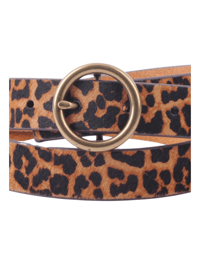 Brass-Toned Circle Buckle Leather Belt in Leopard
