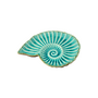 Big Nautilus Shell Dish