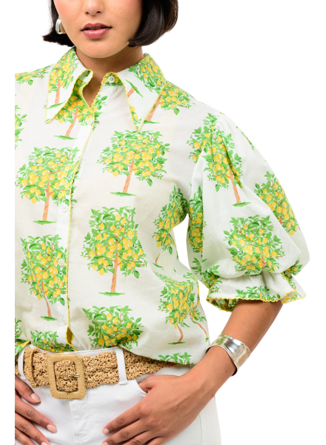 Ivy Jane Lemon Tree Top
