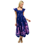 Uncle Frank Smocked Border Dress