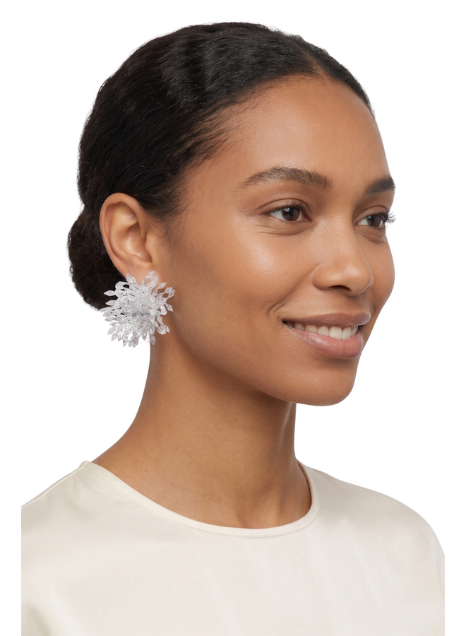 Firework Earrings In Clear