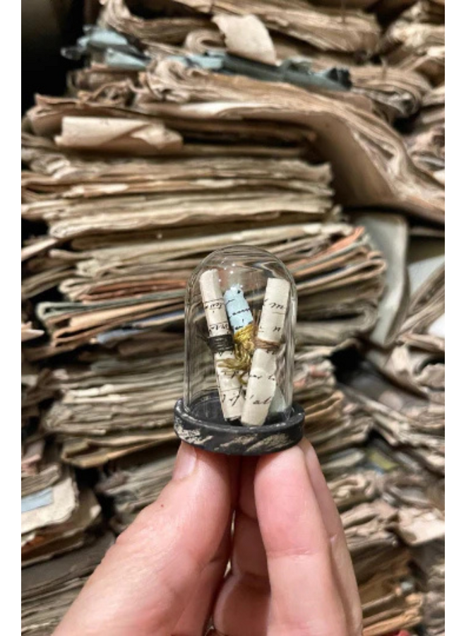 Mini Glass Cloche On A Wooden Base