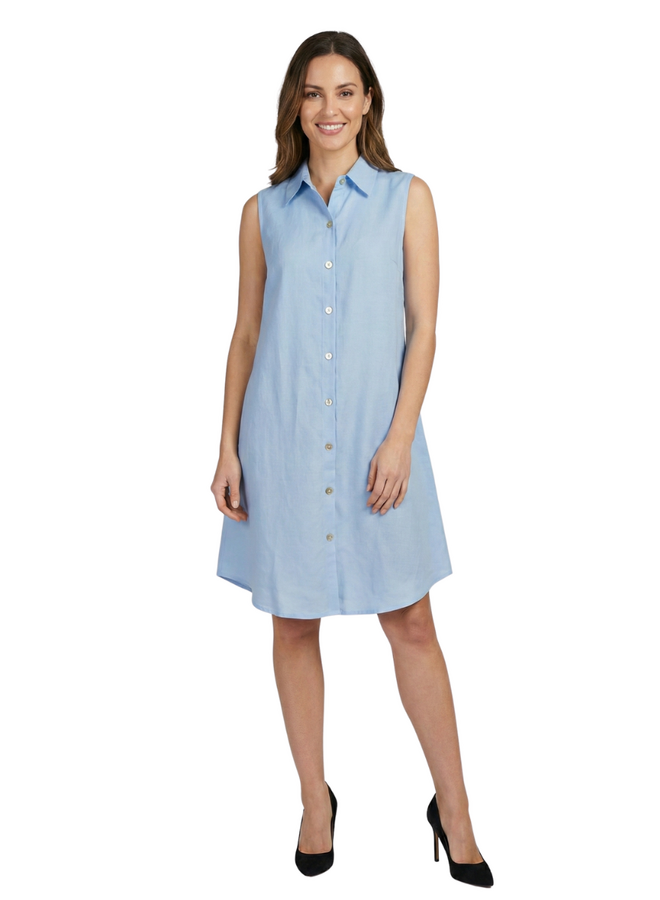 Toofan Sleeveless Button Back Dress in Sky