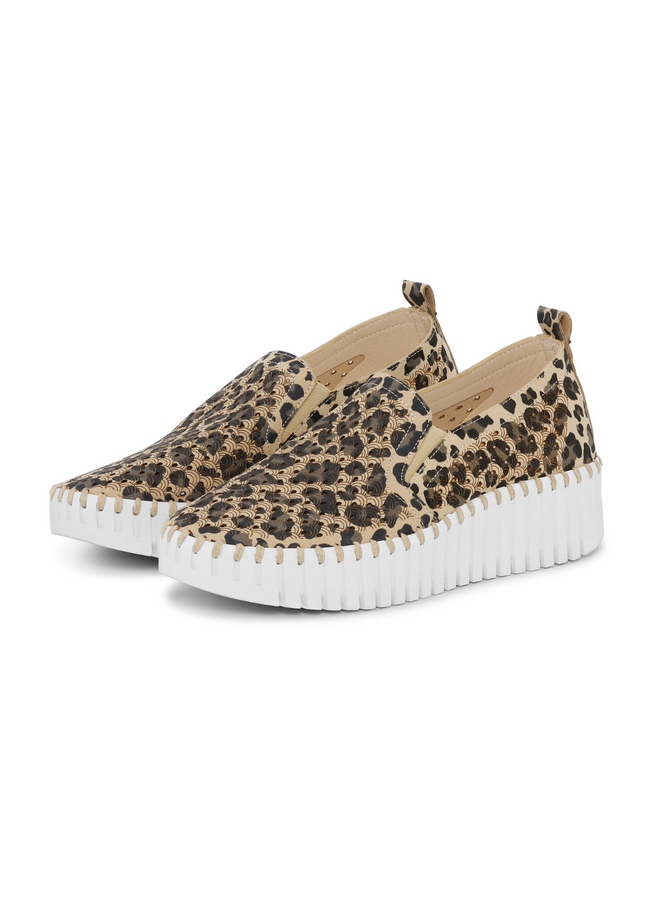 Ilse Jacobsen Platform Tulip 4033 Shoe in Latte Leopard