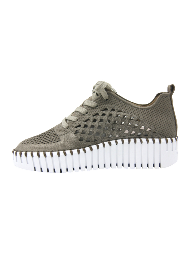 Ilse Jacobsen Platform Tulip 4273 Sneaker in Falcon