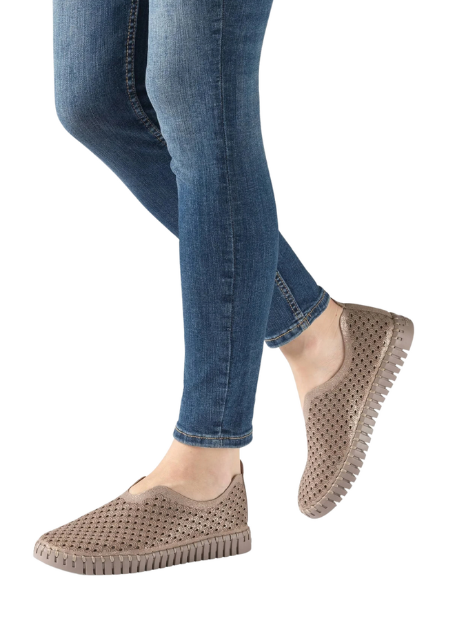 Ilse Jacobsen Tulip 3224 Shoe in Falcon