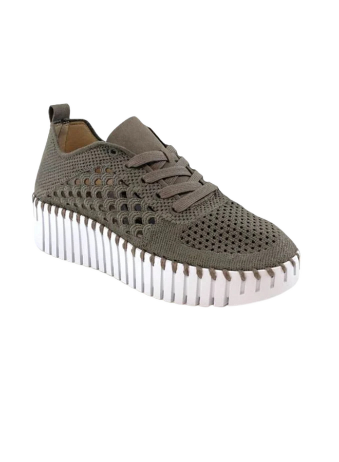 Ilse Jacobsen Platform Tulip 4273 Sneaker in Falcon