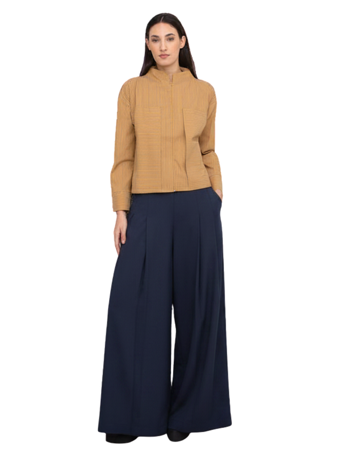 Ozai Wide Leg Pleated Trouser in Blue