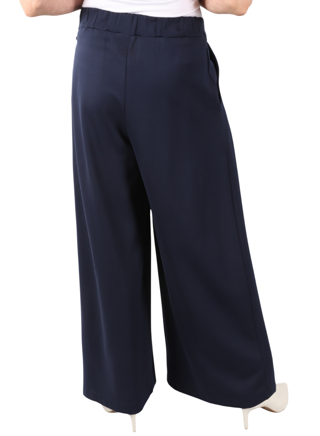 Ozai Wide Leg Pleated Trouser in Blue