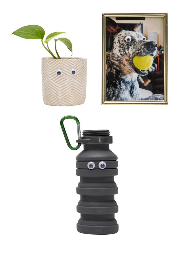 Googly Eyes: Emergency Adhesive Eyeballs Kit