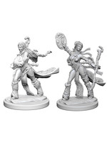 Pathfinder Deep Cuts Unpainted Miniatures: W01 Elf Female Sorcerer