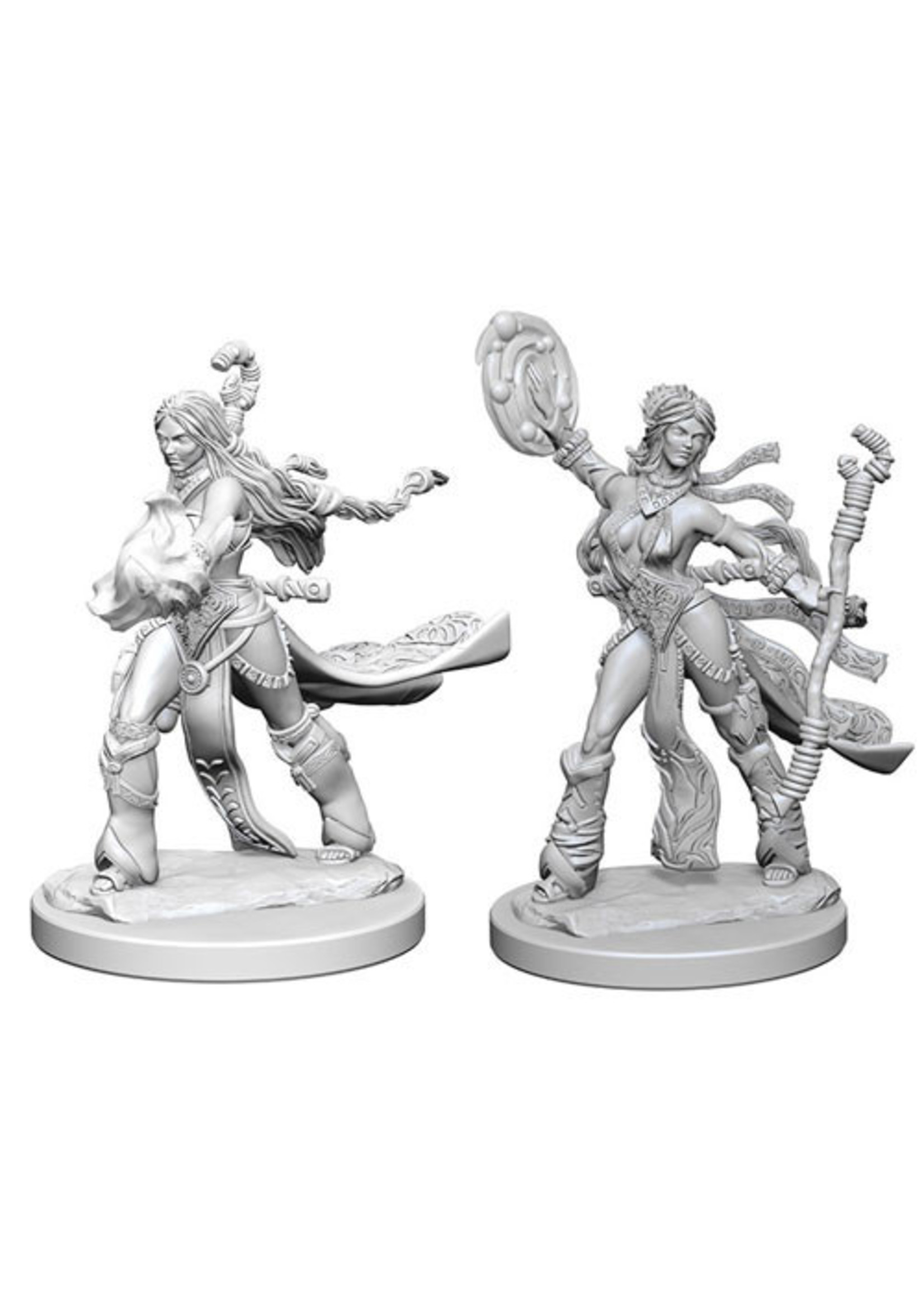 Pathfinder Deep Cuts Unpainted Miniatures: W01 Elf Female Sorcerer