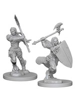 Pathfinder Deep Cuts Unpainted Miniatures: W01 Half-Orc Female Barbarian