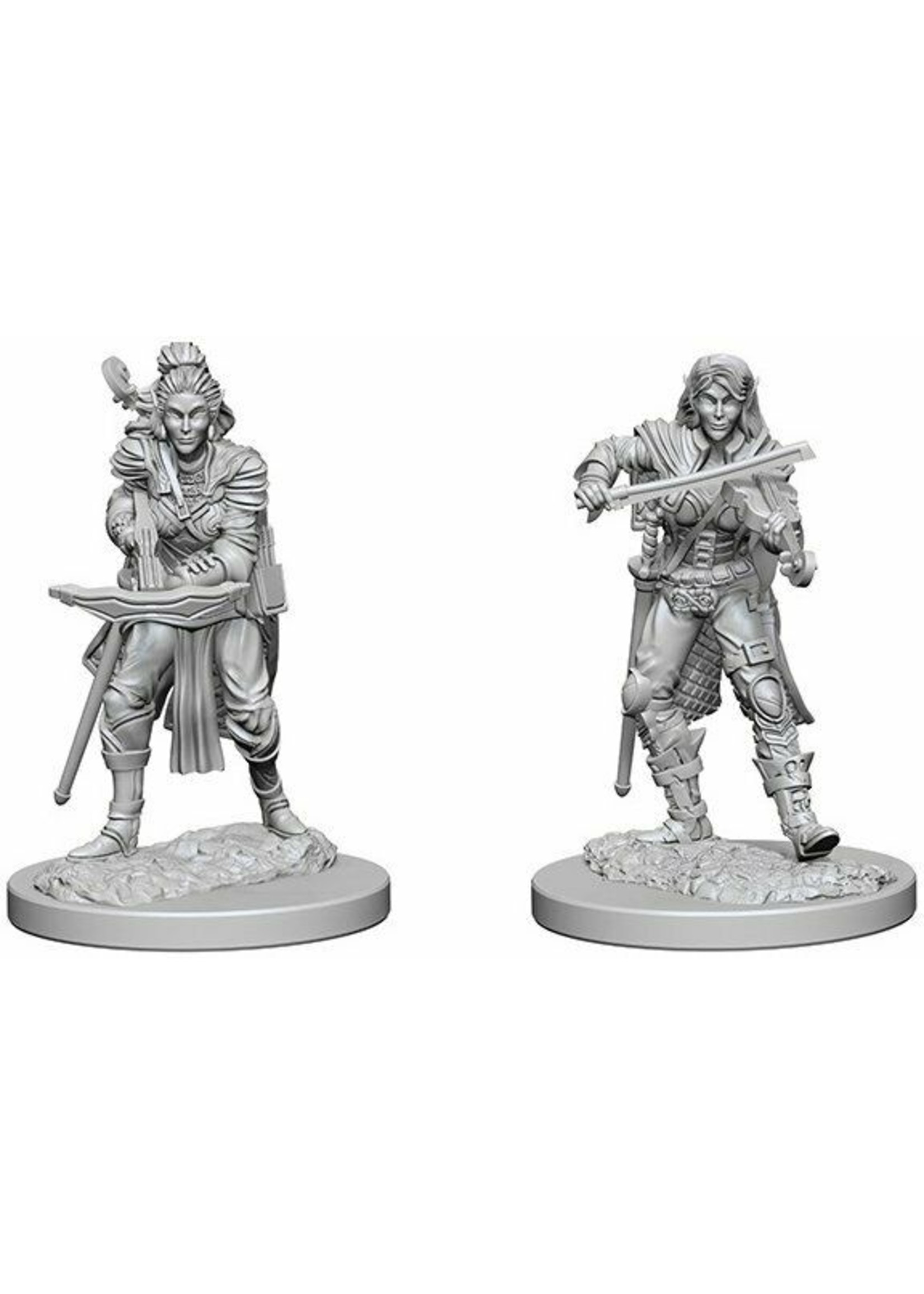 Pathfinder Deep Cuts Unpainted Miniatures: W04 Elf Female Bard