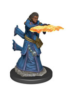 Dungeons & Dragons Fantasy Miniatures: Icons of the Realms Premium Figures W5 Human Wizard Female