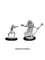 Dungeons & Dragons Nolzur`s Marvelous Unpainted Miniatures: W12 Sea Hag & Bheur Hag