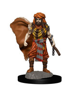 Dungeons & Dragons Fantasy Miniatures: Icons of the Realms Premium Figures W4 Human Druid Male