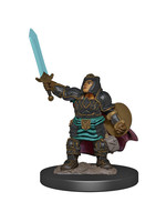 Dungeons & Dragons Fantasy Miniatures: Icons of the Realms Premium Figures W4 Dwarf Paladin Female
