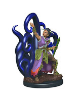 Dungeons & Dragons Fantasy Miniatures: Icons of the Realms Premium Figures W3 Human Female Warlock