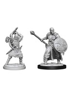 Dungeons & Dragons: Nolzur's Marvelous Unpainted Miniatures - W13 Human Barbarian Male