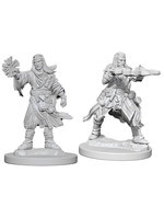 Pathfinder Deep Cuts Unpainted Miniatures: W06 Male Human Wizard