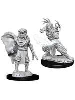 Dungeons & Dragons Nolzur`s Marvelous Unpainted Miniatures: W6 Male Human Druid